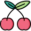 Cherry icon 64x64
