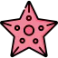 Starfish icon 64x64