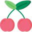 Cherry icon 64x64