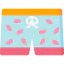 Swimsuit icon 64x64