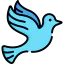 Dove icon 64x64