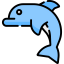 Dolphin icon 64x64