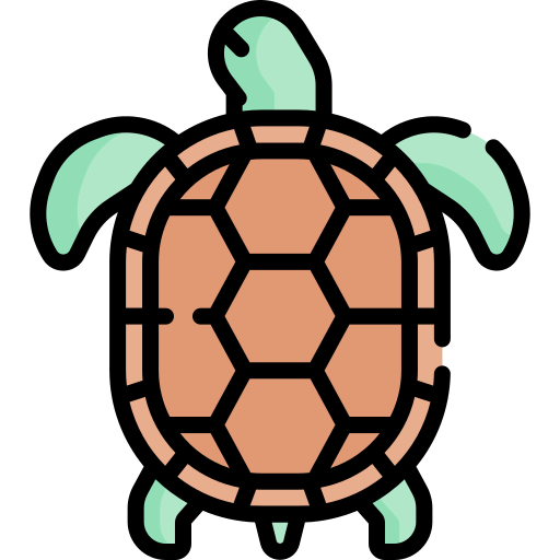 Turtle icon