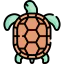 Turtle icon 64x64