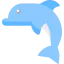 Dolphin icon 64x64