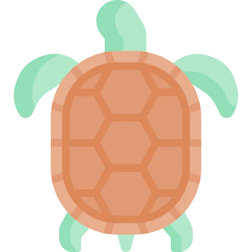 Turtle icon