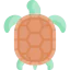 Turtle icon 64x64