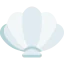 Shell icon 64x64