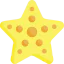 Starfish icon 64x64