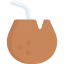 Coconut drink 图标 64x64