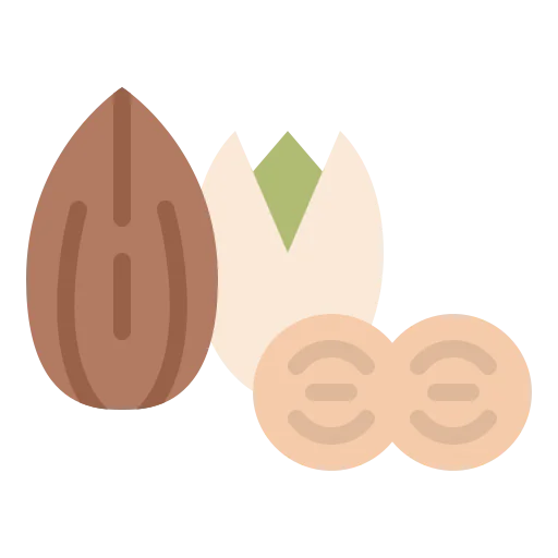 Nuts icon