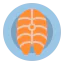 Salmon icon 64x64