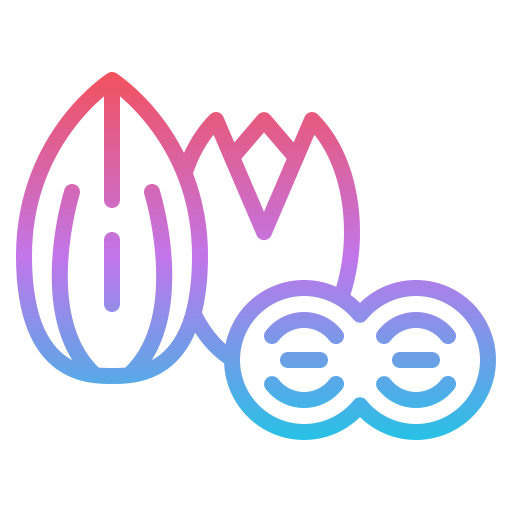 Nuts icon
