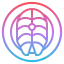 Salmon icon 64x64