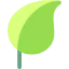 Leaf icon 64x64