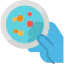 Petri dish アイコン 64x64