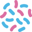 Bacteria アイコン 64x64