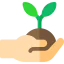 Plant tree icon 64x64
