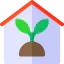 Indoor plants icon 64x64