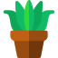 Aloe vera icon 64x64