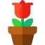 Rose icon 64x64