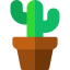 Cactus icon 64x64