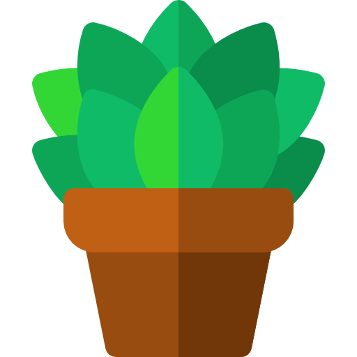 Сукус иконка