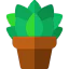 Sucus icon 64x64