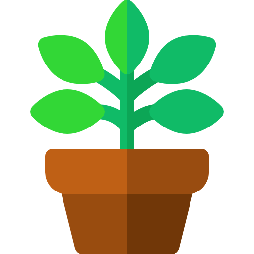 Ficus icon