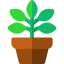 Ficus icon 64x64