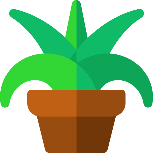 Chlorophytum biểu tượng