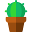 Cactus icon 64x64