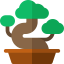 Bonsai icon 64x64