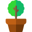 Myrtus icon 64x64