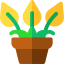 Peace lily icon 64x64