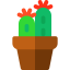 Cactus icon 64x64