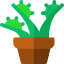 Carnivorous plant icon 64x64