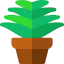 Guzmania icon 64x64