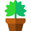 Palm icon 64x64