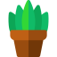 Sansevieria icon 64x64