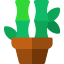 Bamboo icon 64x64