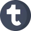 Tumblr icon 64x64