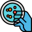 Petri dish icon 64x64