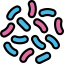 Bacteria icon 64x64
