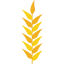 Wheat 图标 64x64
