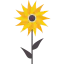 Sunflower 图标 64x64