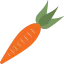Carrot 图标 64x64