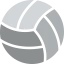 Volleyball icon 64x64