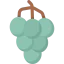 Grapes 상 64x64