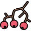 Berries Symbol 64x64
